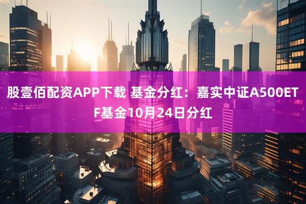 股壹佰配资APP下载 基金分红：嘉实中证A500ETF基金10月24日分红